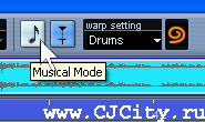 Рисунок 7 - Включение Musical Mode в Steinberg Cubase SX